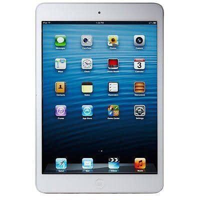 Apple iPad Mini Wi-Fi Price in Nigeria